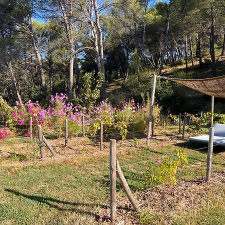La Bergerie Du Roy-Chambres D'Hotes- Rognes Dış mekan fotoğraf